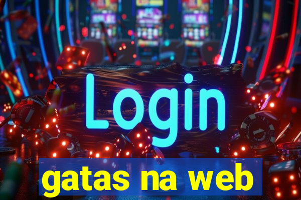 gatas na web